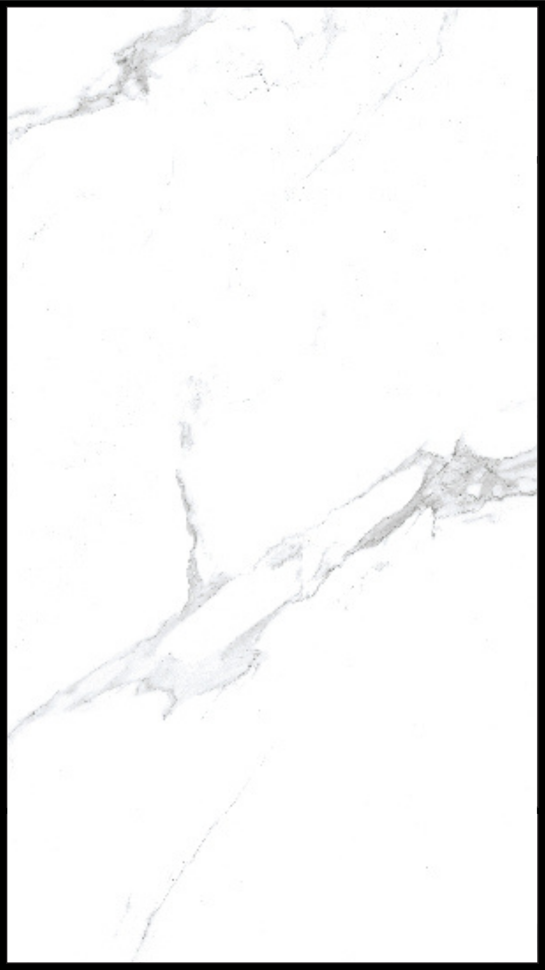 CARRARA POLARIS - 600 x mm 1200 mm
